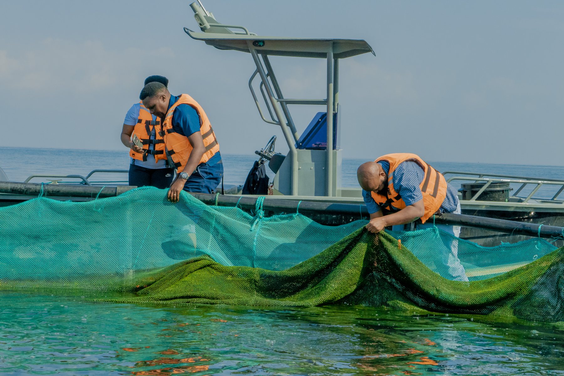 Circular Economy - Tilapia Fish Farming operations