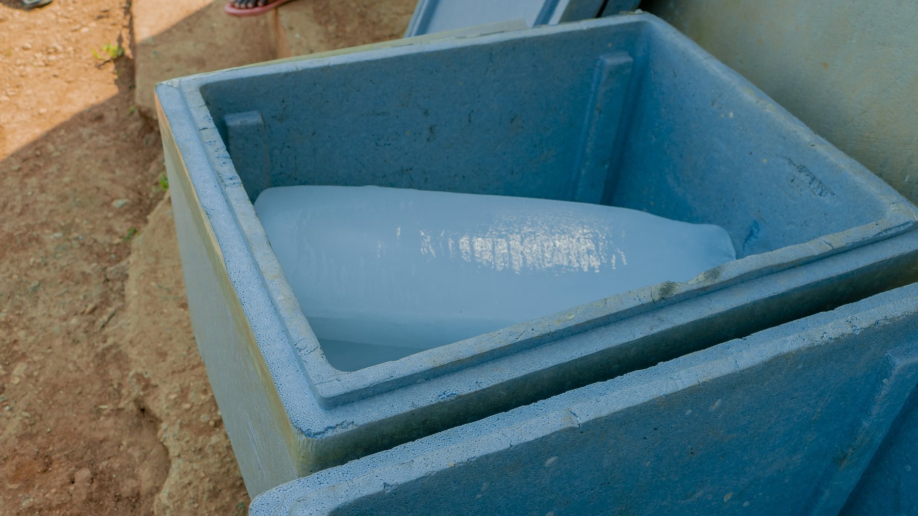 Contact - Tilapia Fish Farming operations