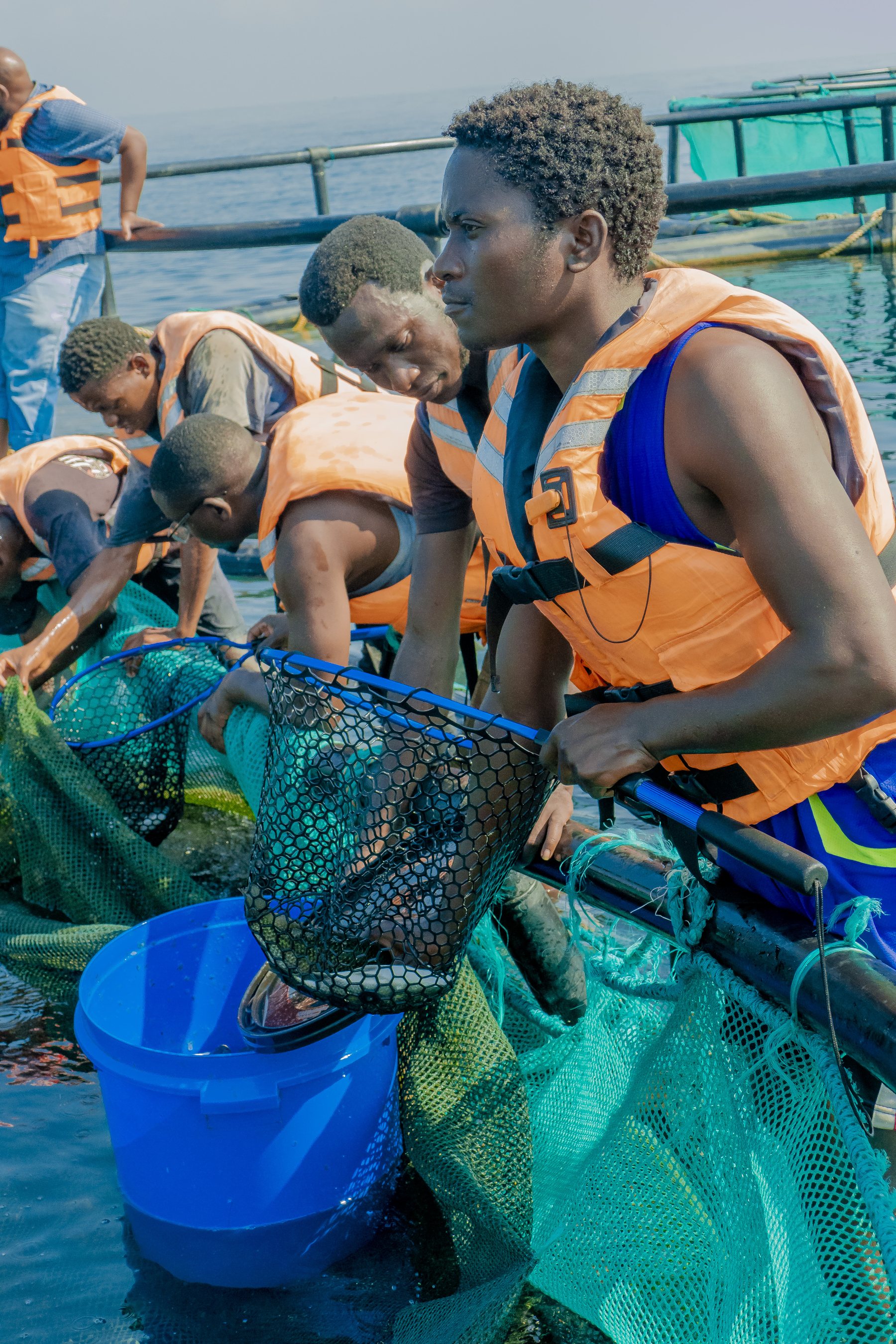 Financial Sustainability - Tilapia Fish Farming operations
