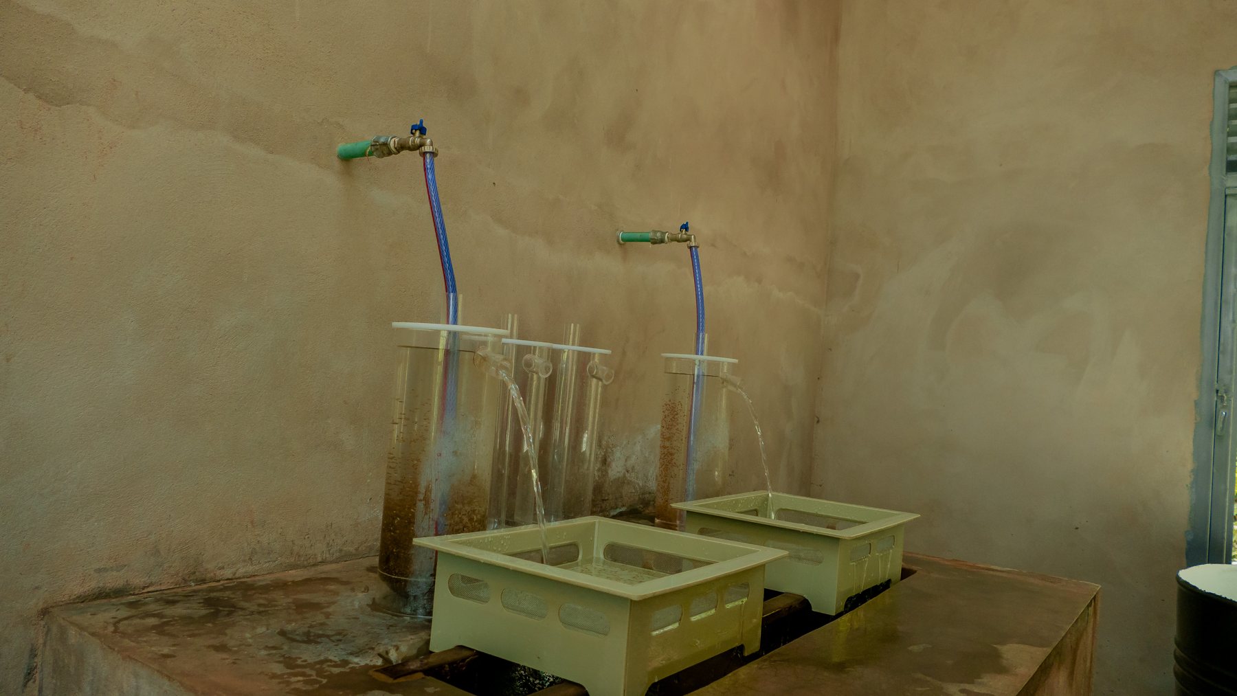 Food Security Indicators - Tilapia Fish Farming operations