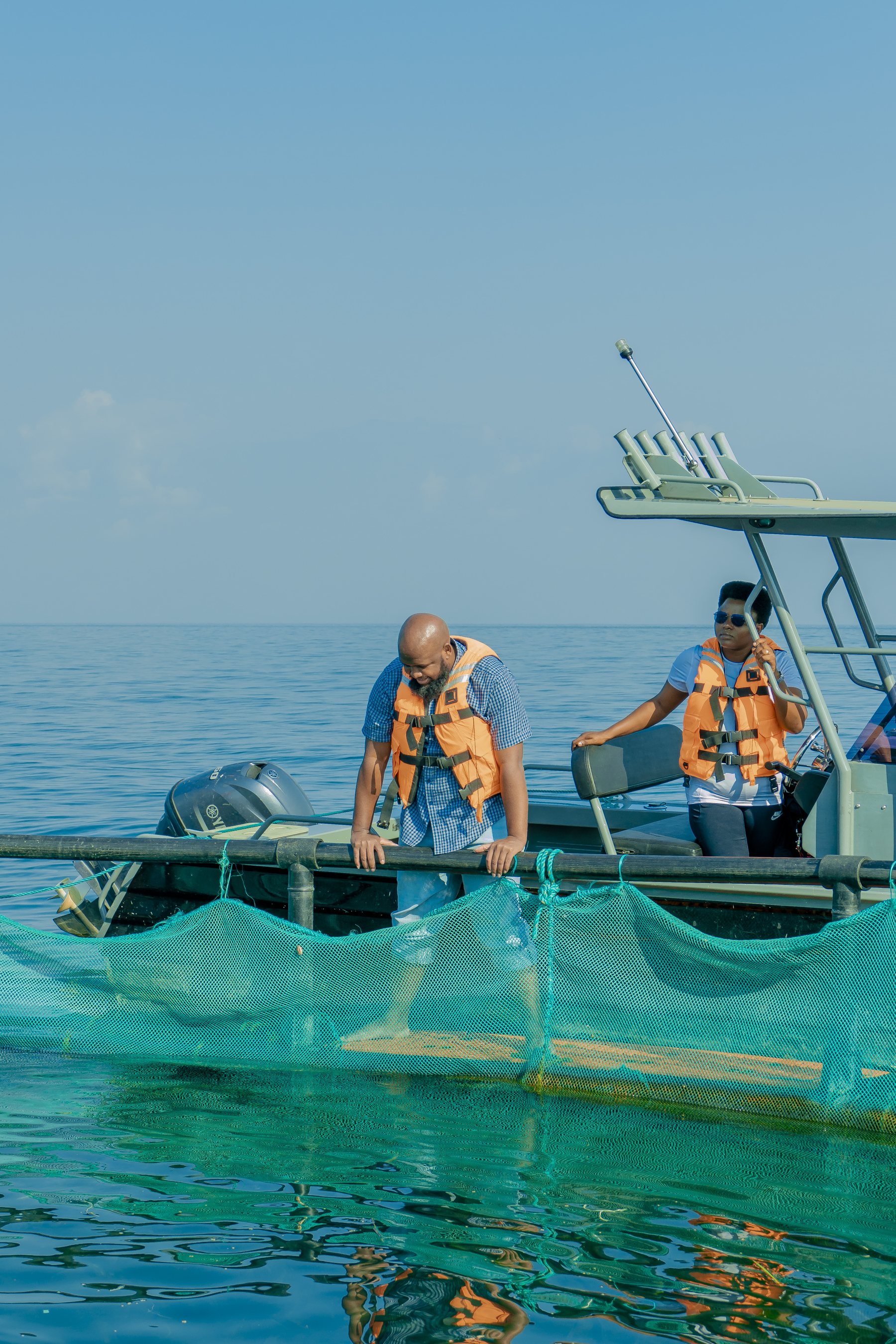 Intensive Aquaculture - Tilapia Fish Farming operations