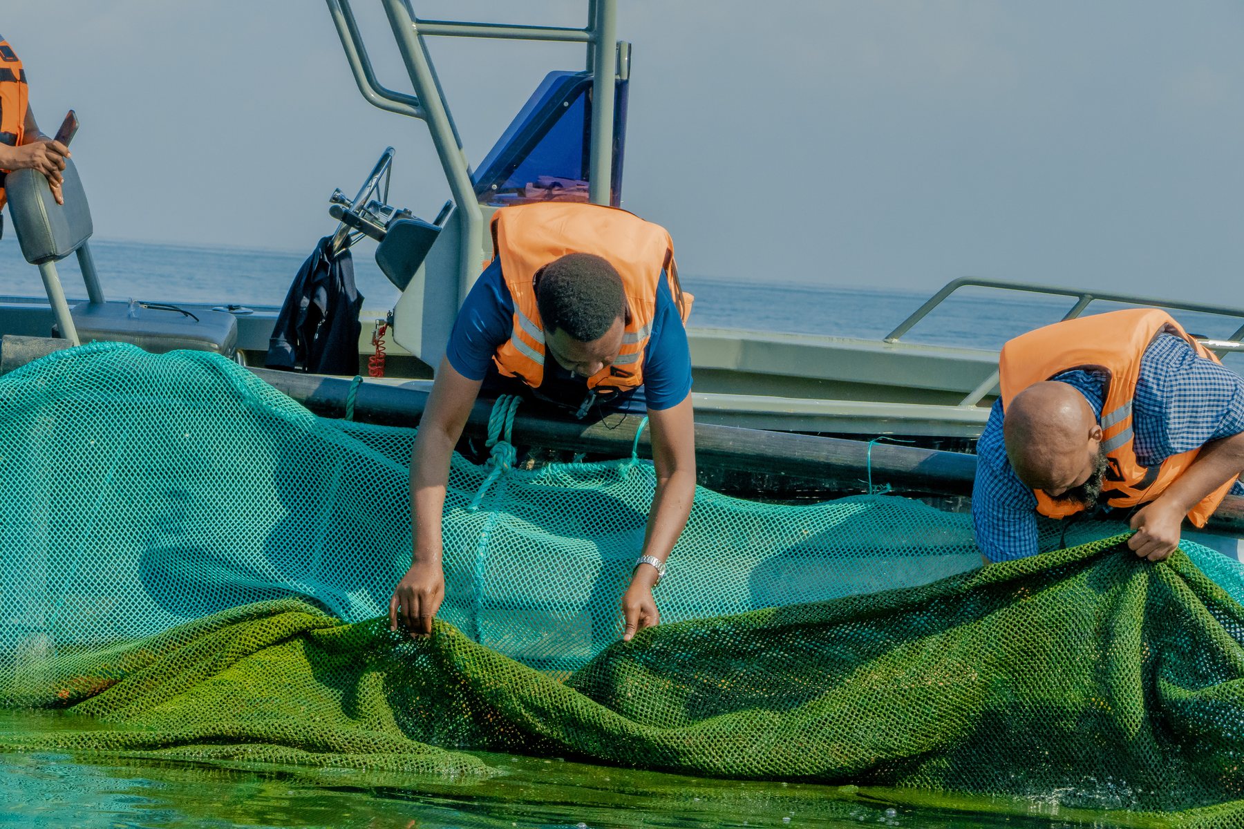 SDG Contribution - Tilapia Fish Farming operations