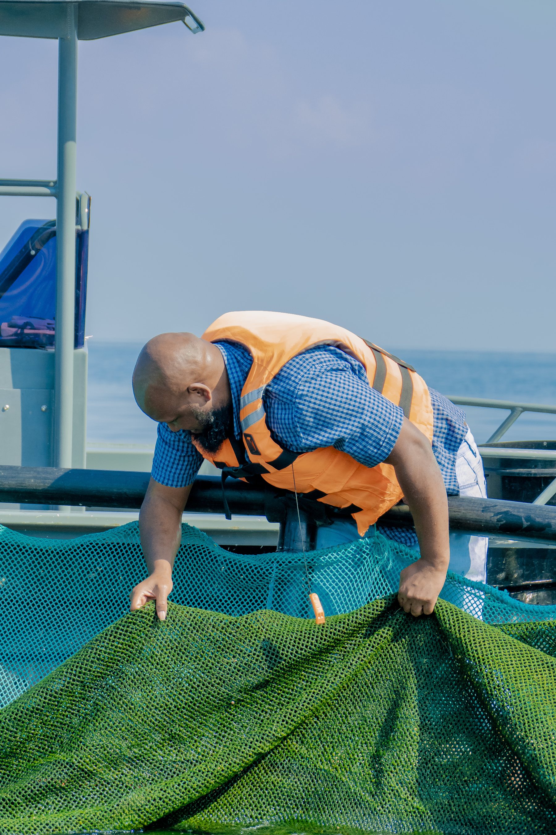 Youth Employment - Tilapia Fish Farming operations